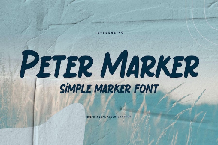 Peter Marker - Simple Marker Font Font Download