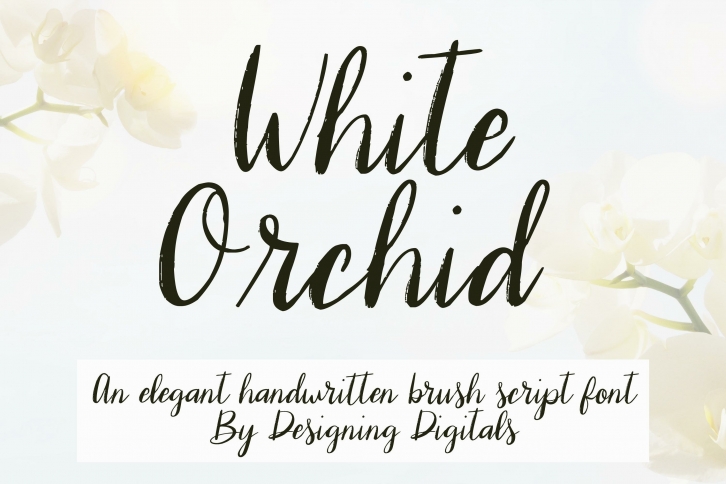 White Orchid Font Download