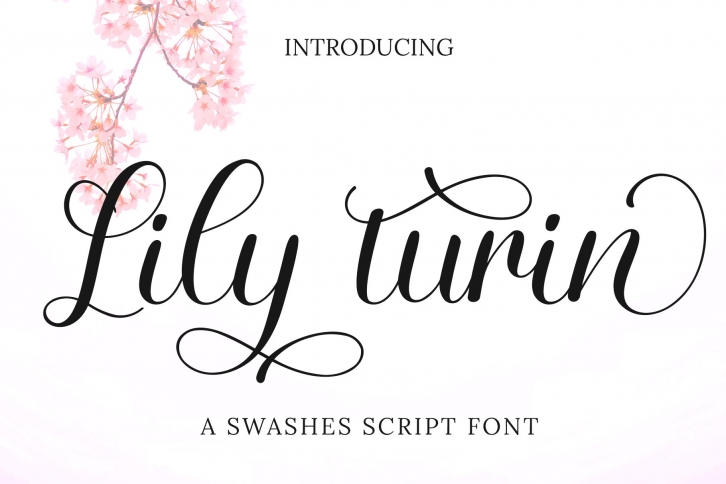 Lily Turin Font Download