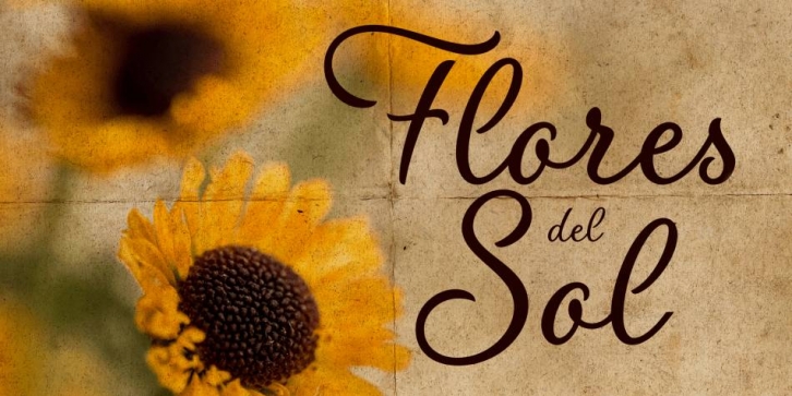 Flores del Sol Font Download