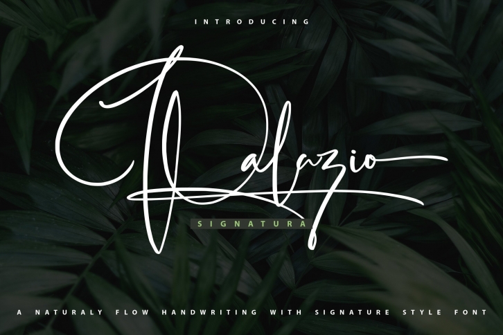 Palazio Font Download
