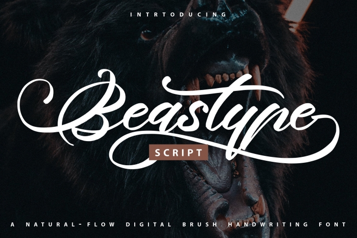 Beastype Font Download