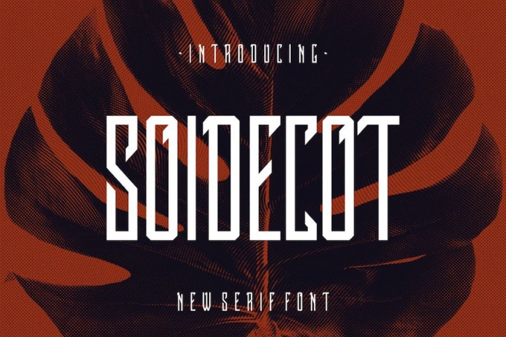 Soidecot Font Font Download