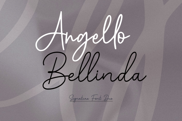 Signature Bundle Font Download