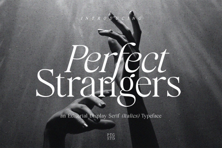Perfect Strangers I Elegant Serif Font Download