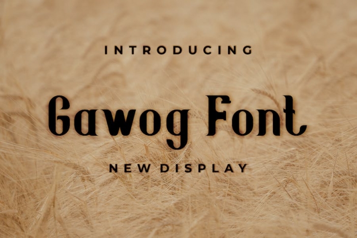 Gawog Font Font Download
