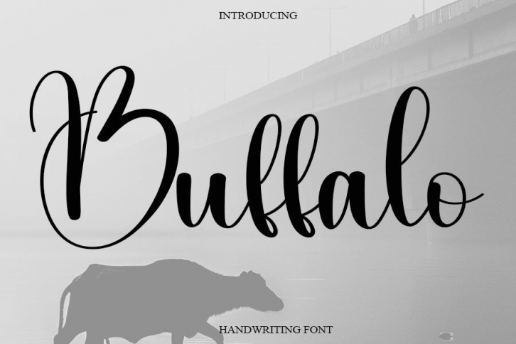 Buffalo Font Download
