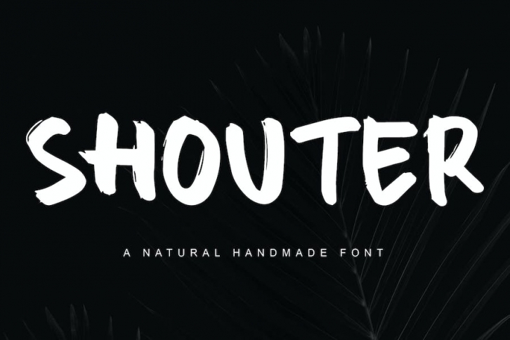 Shouter Display Font Font Download