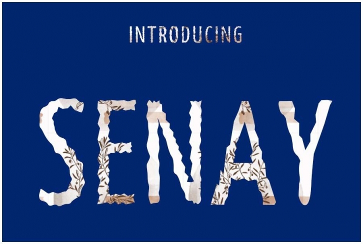 Senay Font Download