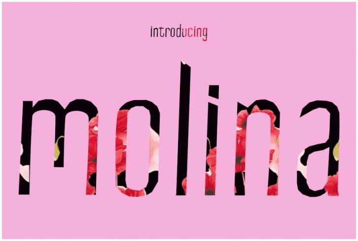 Molina Font Download