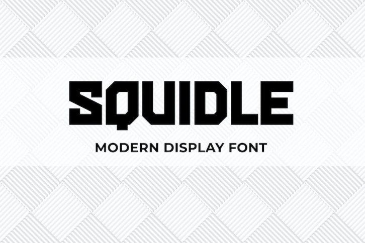 Squidle - Modern Display Font Font Download