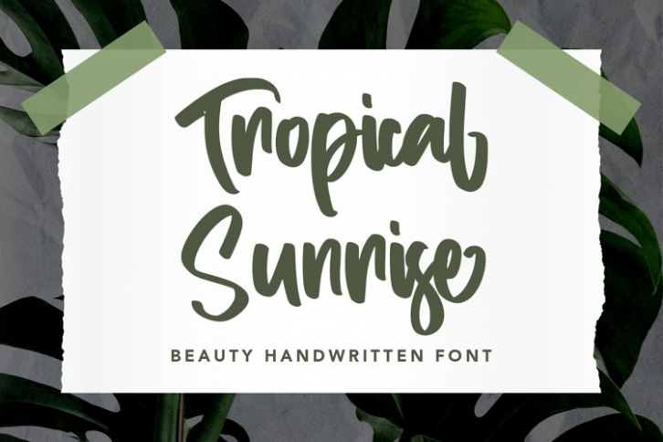 Tropical Sunrise Font Download