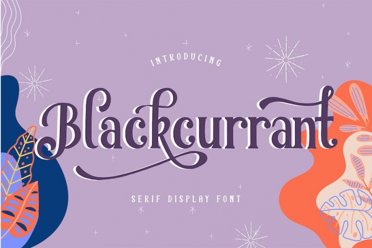 Blackcurrant | Serif Display Font Font Download