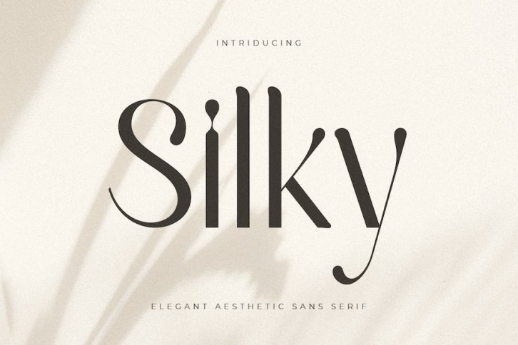 Silky - Elegant Aesthetic Sans Serif Font Download