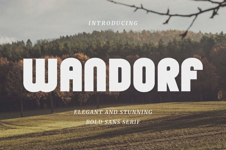 Wandorf â€“ Elegant Bold Sans Font Download