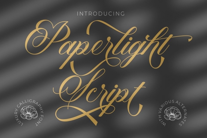 Paperlight Script Font Download