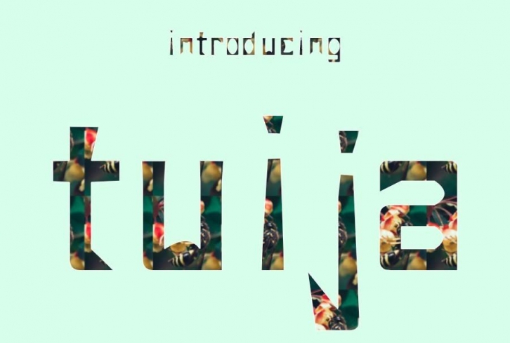Tuija Font Download