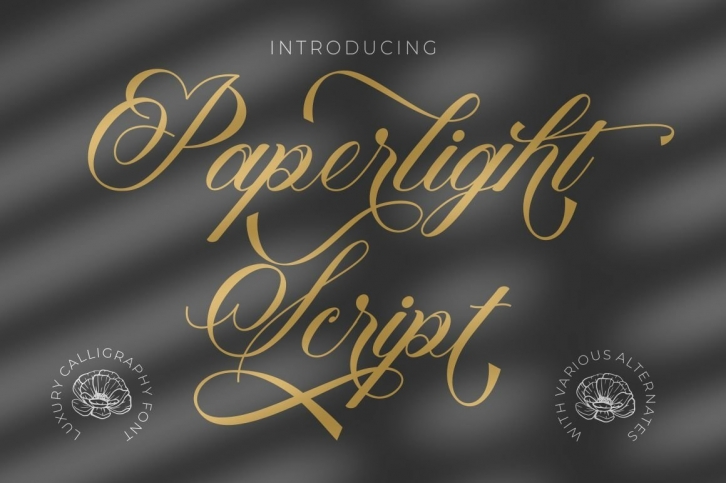 Paperlight Script Font Download