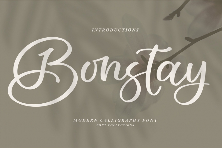 Bonstay Font Download