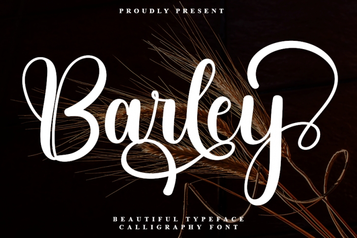 Barley Font Download