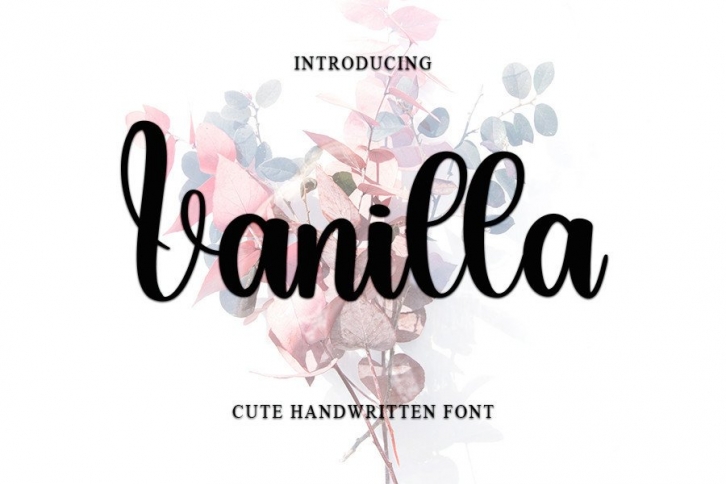 Vanilla Font Download