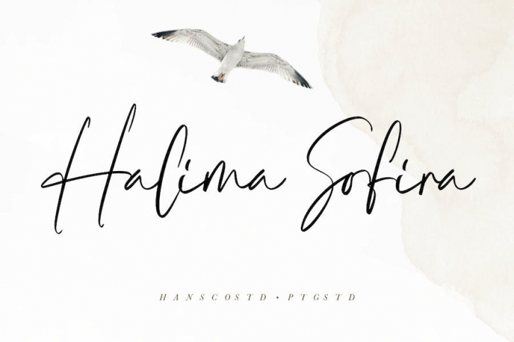 Halima Sofira Font Download