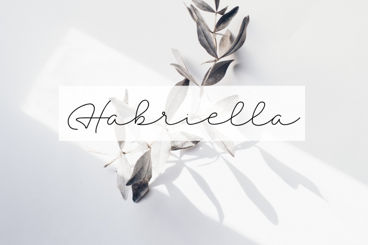 Habriella: A Monoline Handwriting Font Download