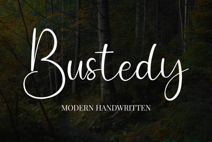 Bustedy Font Download