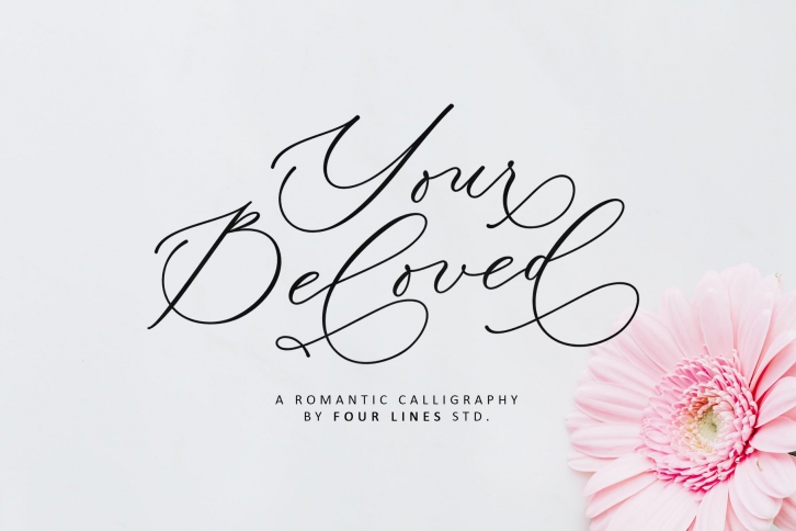 Your Beloved Font Download