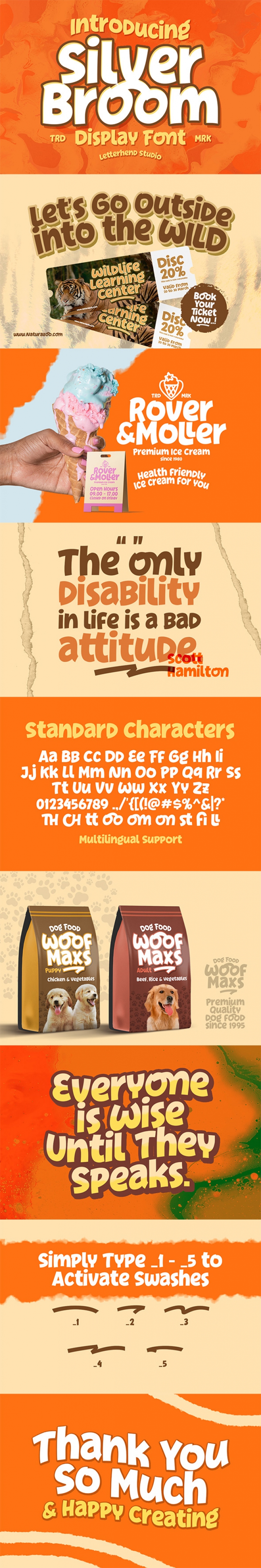 Silver Broom Font Download