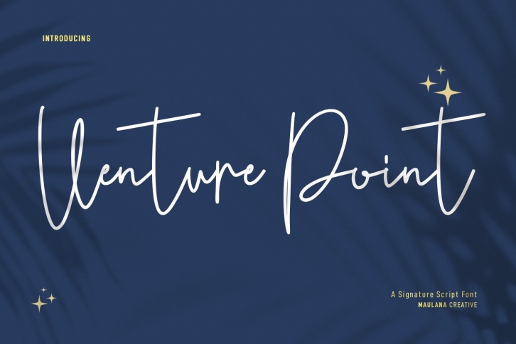 Venture Point Script Font Download