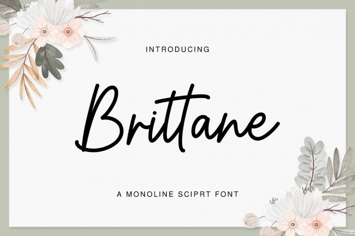 Brittane Font Download