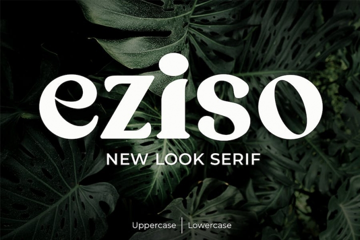Eziso - Serif Font Font Download