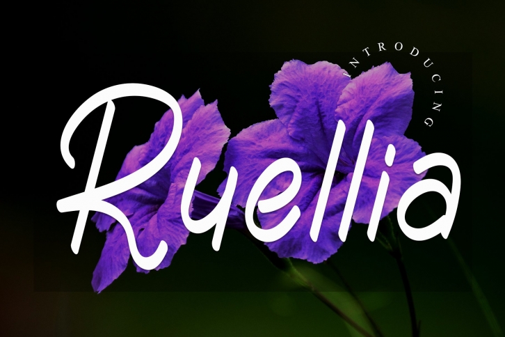 Ruellia Font Download