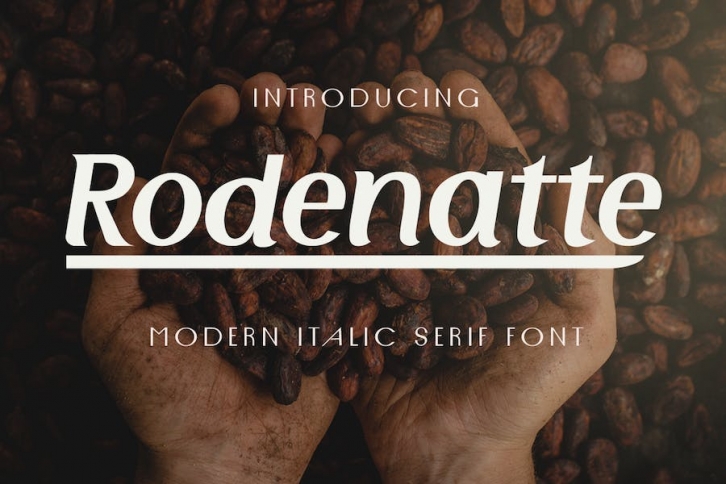 Rodenatte - Italic Font Font Download