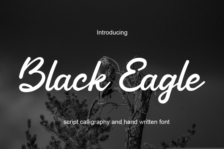 Black Eagle Font Download
