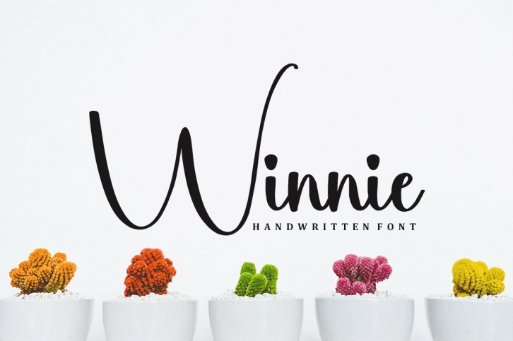 Winnie Font Download