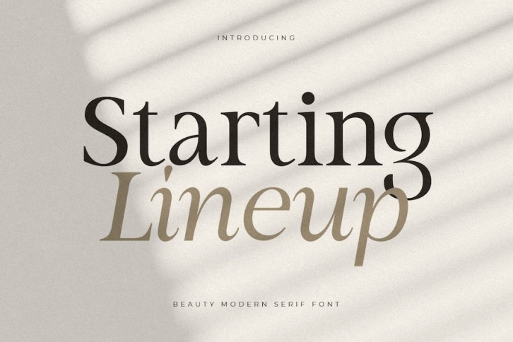 Starting Lineup - Beauty Modern Serif Font Family Font Download