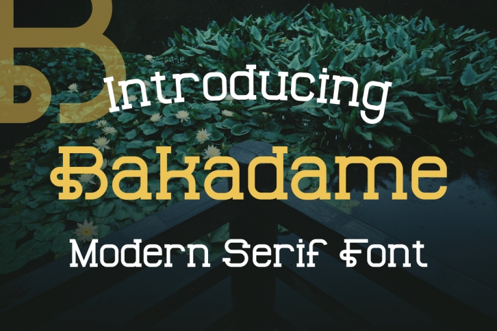 Bakadame Font Download