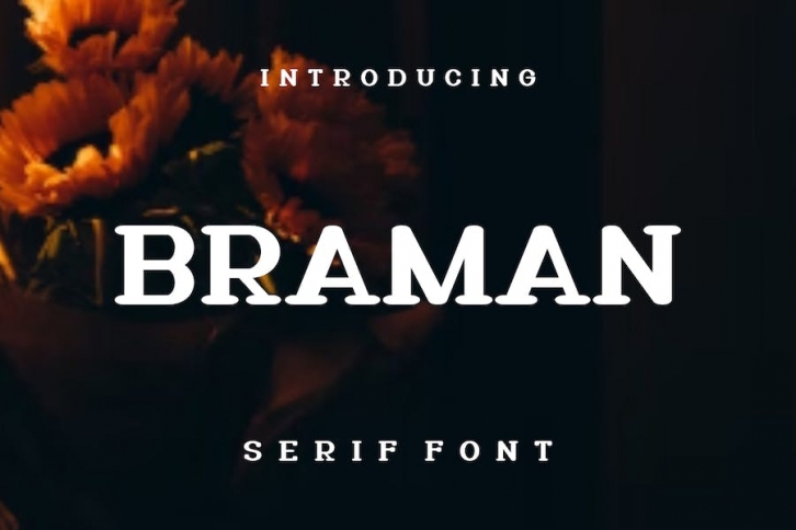 Braman Font Font Download