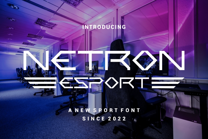 Netron Font Download