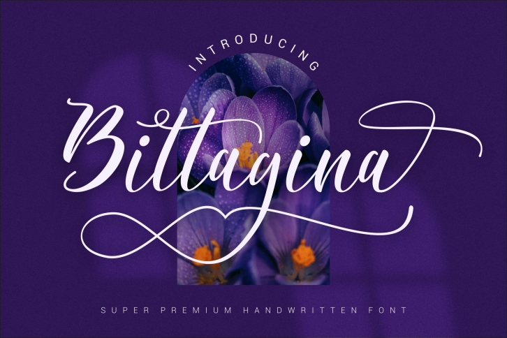 Bittagina Font Download