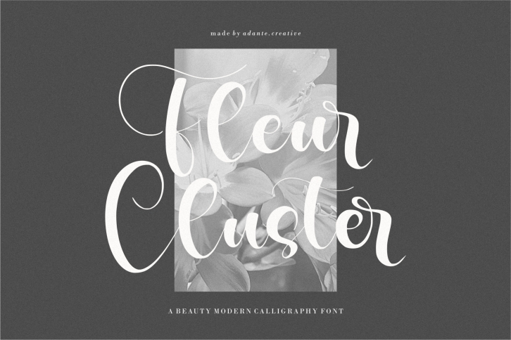Fancylate Font Download