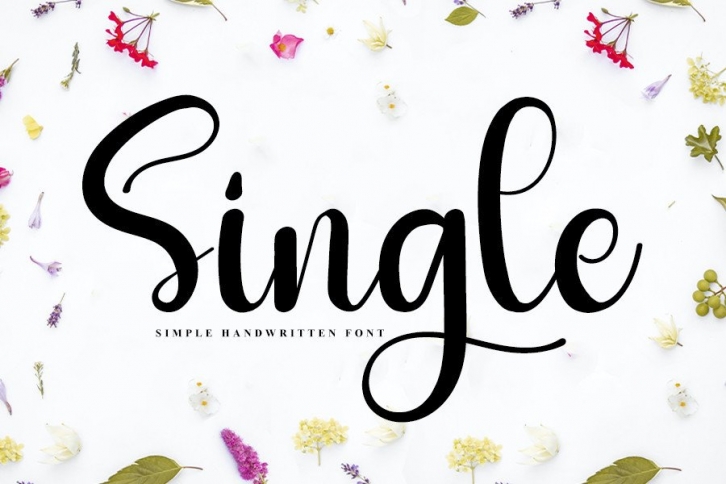 Single Font Download