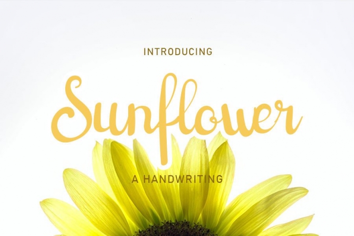 Sunflower Font Download