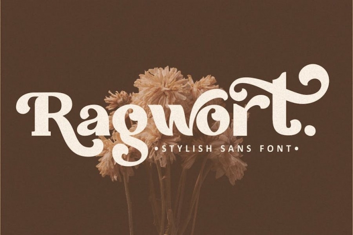 Ragwort - Stylish Sans Font Font Download