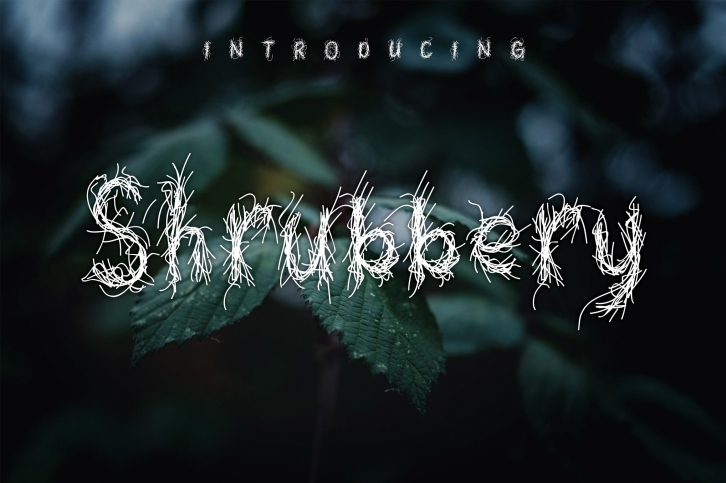 Shrubbery Font Download