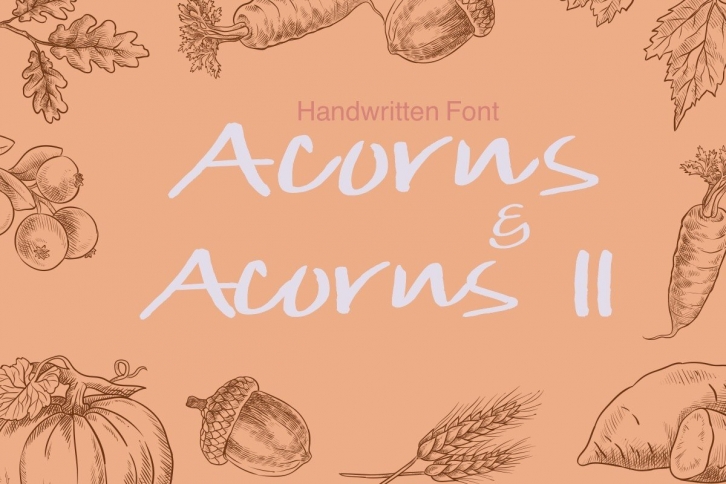 Acorns Font Download