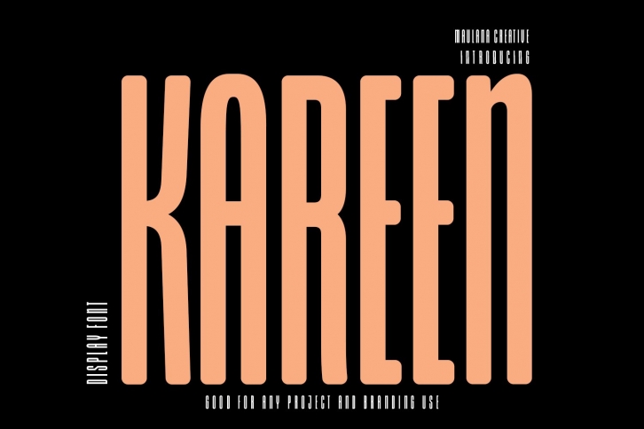 Kareen Sans Serif Display Font Download