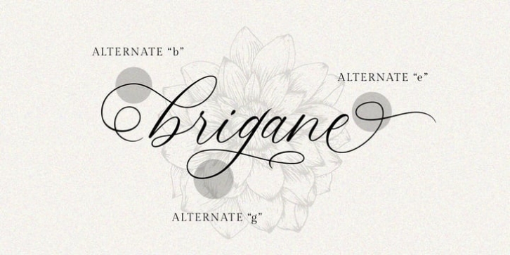 Keukenhof Font Download